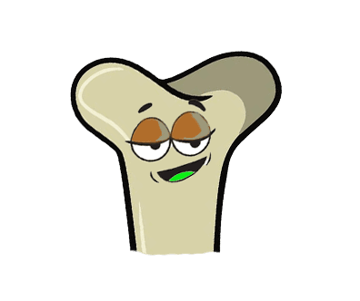 Bone
