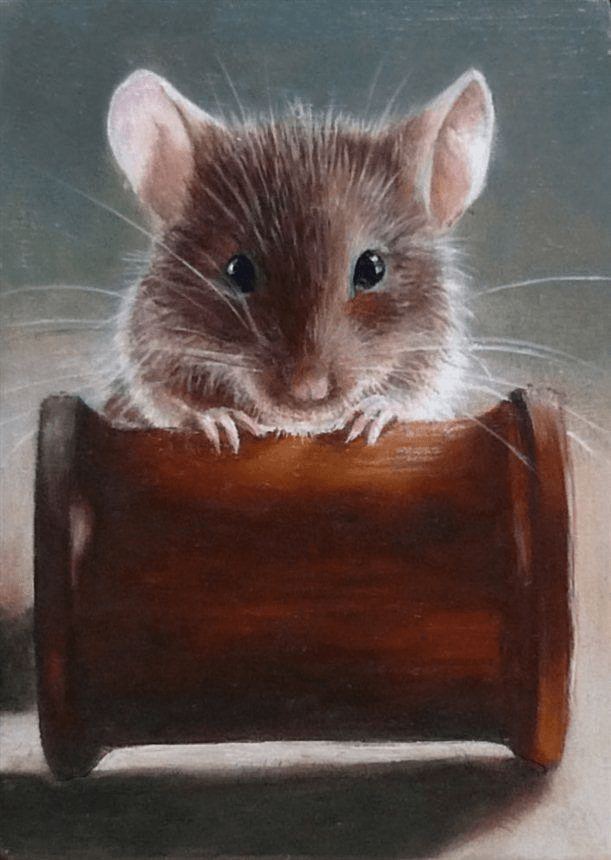 Mr. Jingles