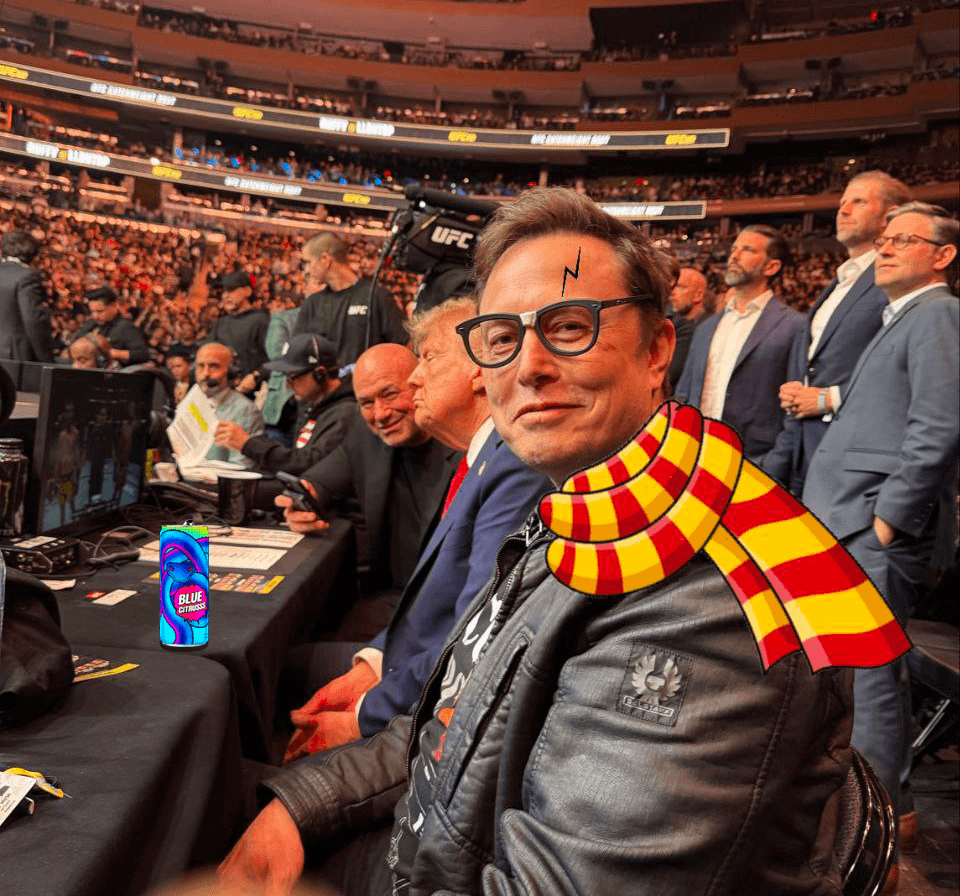 Potter X