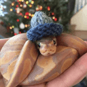 Snek Wif Hat