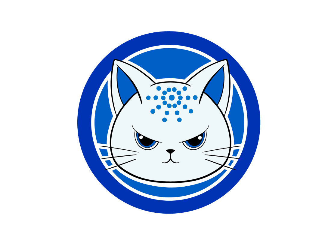 Cardano Cat