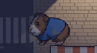 Guinea Pig